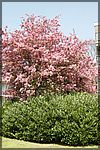DSC05763.JPG