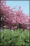 DSC05765.JPG