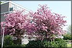 DSC05768.JPG