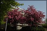 DSC05769.JPG