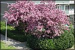 DSC05772.JPG