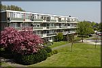 DSC05773.JPG