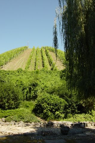 Maribor2005 (159).JPG