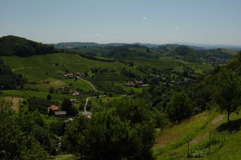 Maribor2005 (164).JPG