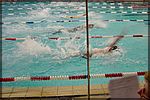 DSC03975.JPG