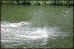 DSC04315.JPG