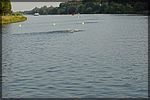 DSC04321.JPG