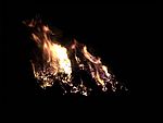 DSC00201.JPG