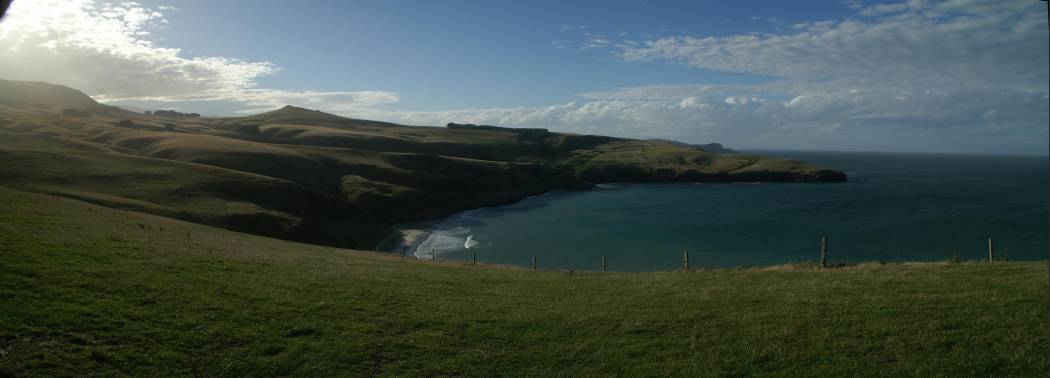 2008-03-11 Otago Peninsula Dunedin (41K)