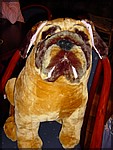 60.Lief hondje h� vrouwtje.jpg