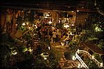 DSC_7887.JPG