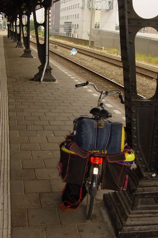 DSC08365.JPG