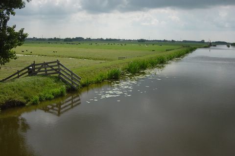 DSC08389.JPG
