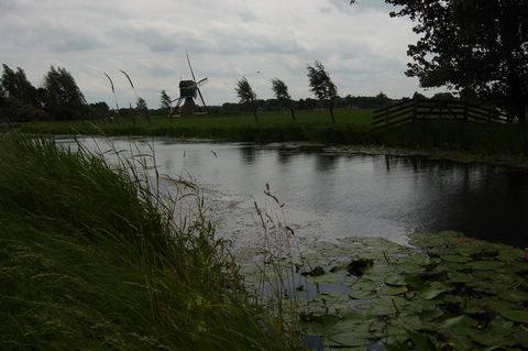 DSC08405.JPG