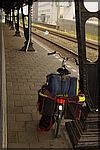 DSC08365.JPG