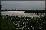 DSC08380.JPG