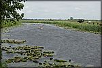 DSC08401.JPG