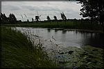 DSC08405.JPG