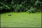 DSC08409.JPG