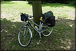 DSC08412.JPG