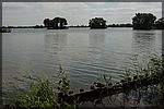DSC08419.JPG