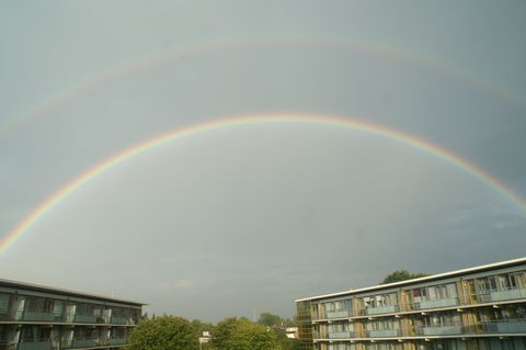 PICT2335.JPG