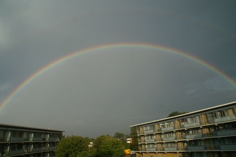 PICT2339.JPG