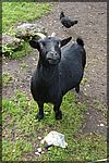DSC04927.JPG