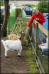 DSC04928.JPG