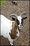 DSC04931.JPG