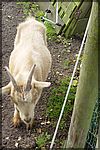 DSC04932.JPG