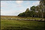 DSC04933.JPG
