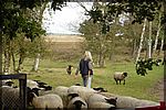 DSC04934.JPG