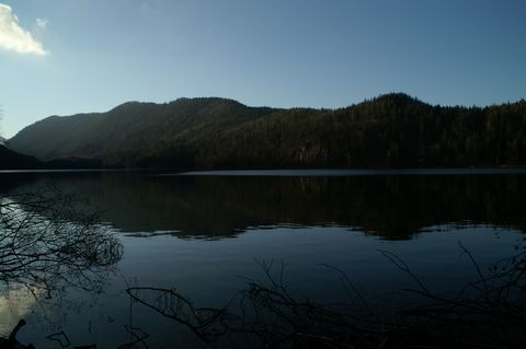 PICT4441.JPG