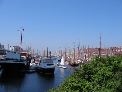 DSC07210mam.JPG