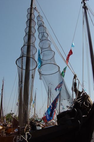 DSC07211.JPG