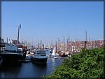 DSC07210mam.JPG