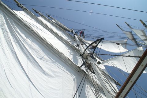 PICT2279.JPG