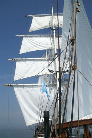 PICT2316.JPG