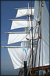 PICT2316.JPG