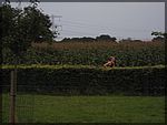 IMG_2041.JPG