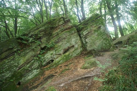 PICT2426.JPG