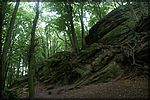 PICT2450.JPG