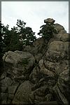 PICT2497.JPG