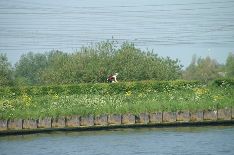 PICT0810.JPG
