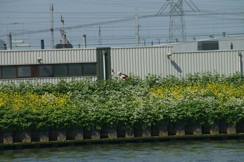 PICT0831.JPG