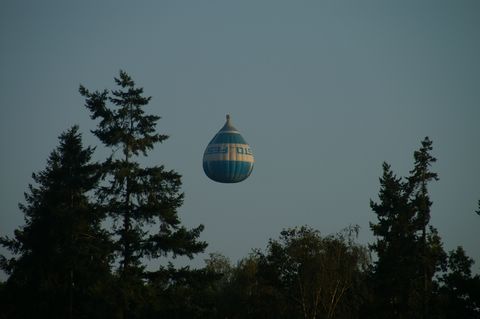 PICT0063 68.JPG