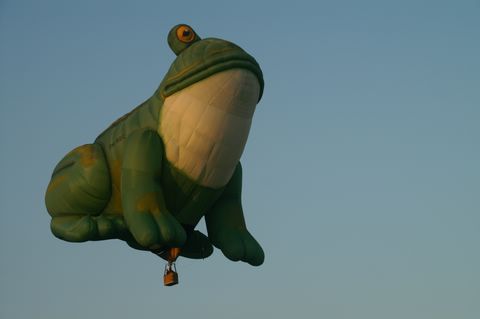 PICT0079.JPG