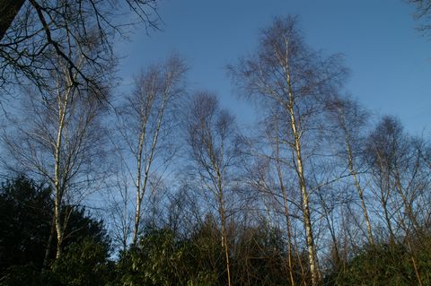 PICT3709.JPG