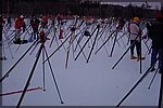 DSC05558.JPG